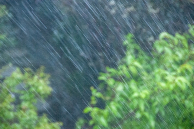 激しい雨